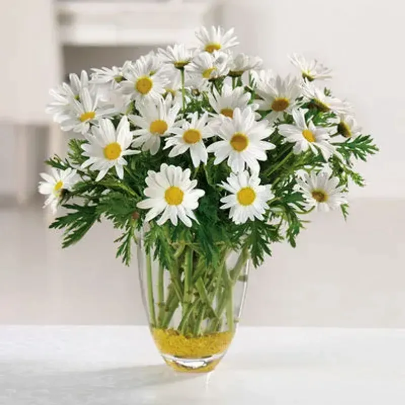 Daisy Daze in Fayetteville Georgia, Huddleston Florist