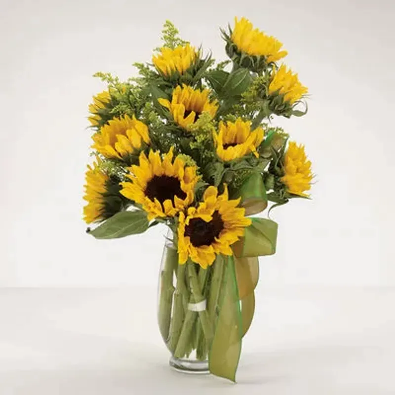 Sunflower Fields in Fayetteville Georgia, Huddleston Florist